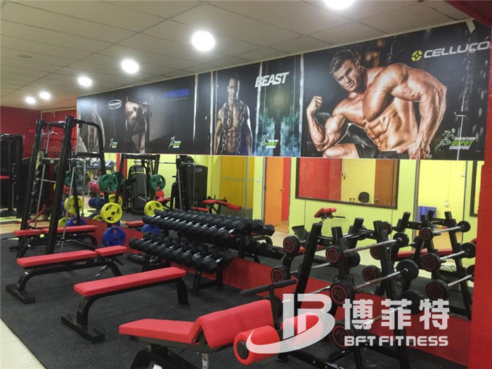 91香蕉视频污下载客戶健身器械